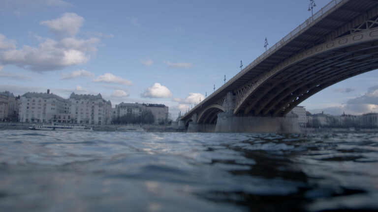 IBDF2020_stills_3